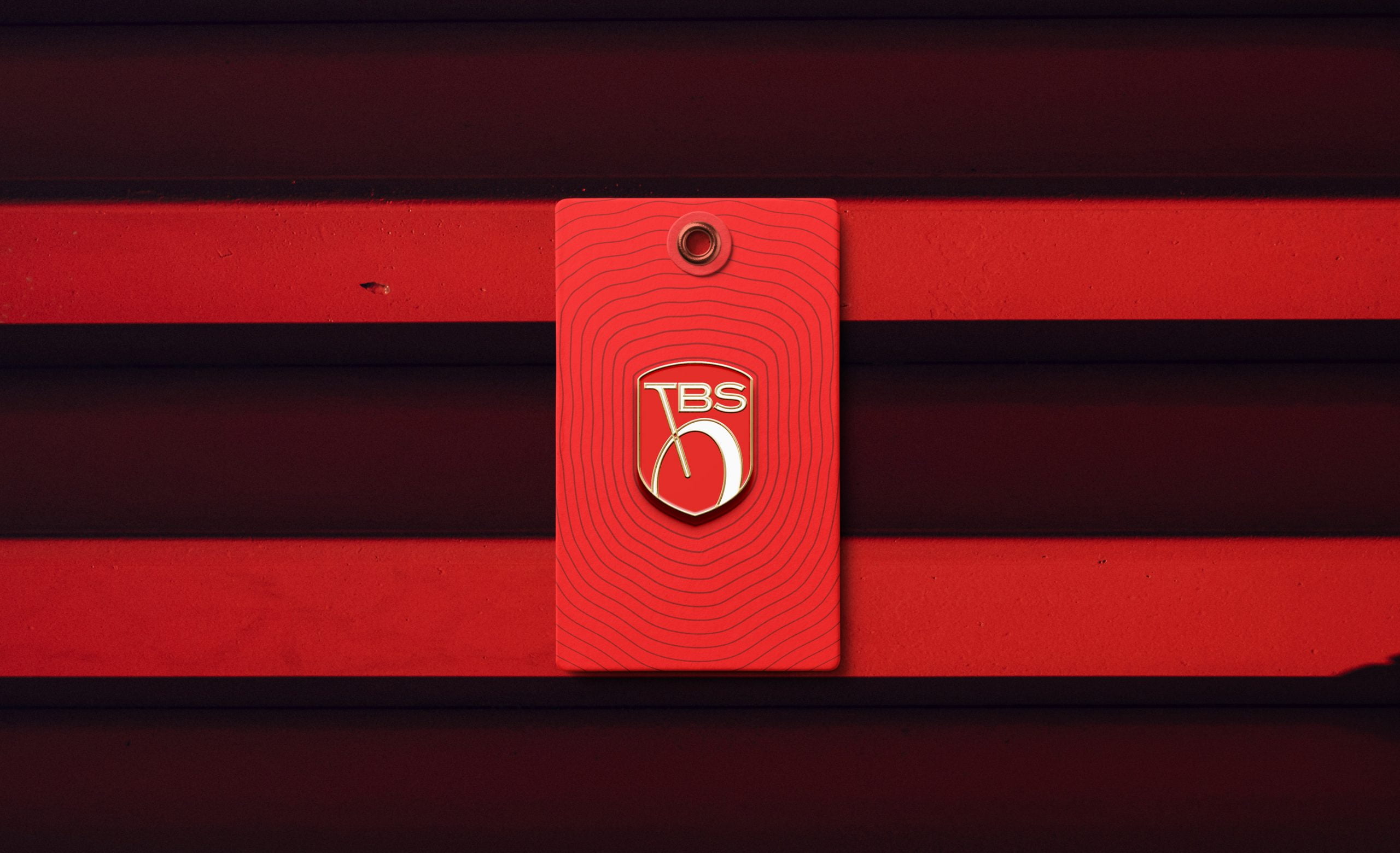 TBS Portfolio Mockups 2020TBS_Cover_v02_2020
